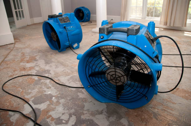 Best Water damage restoration mold remediation  in Levelland, TX