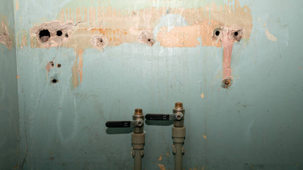  Levelland, TX Water damage restoration Pros
