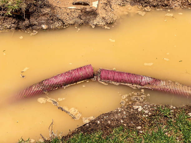 Best Fire Damage Restoration  in Levelland, TX